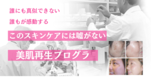 イルカの散歩の美肌再生プログラム
